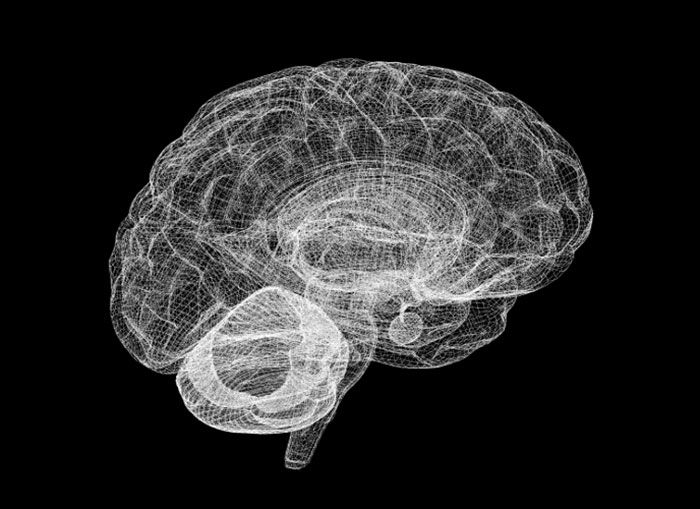 Program Your Brain to Achieve Any Goal